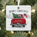 Search for pickup truck christmas tree decorations Family