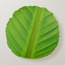 Search for banana leaf cushions Plant