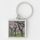 Search for cherry tree key rings Pink