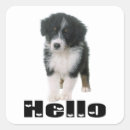 Search for australian shepherd stickers Puppy