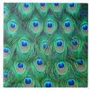 Search for peacock design tiles Bird