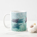 Search for stingrays mugs Aquatic animal
