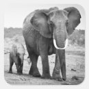 Search for kenya stickers Horizontal