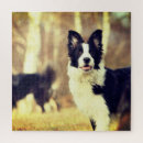 Search for border collie puzzles Dogs