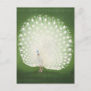 Search for vintage bird paintings postcards Ohara koson
