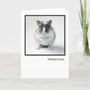 Search for gerbil cards Mouse