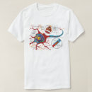 Search for nerves System