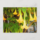 Search for l a postcards Yellow