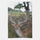 Search for stag tea towels Animals