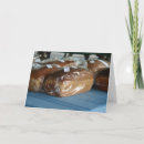 Search for breads cards Photography