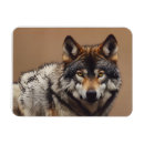 Search for wolf portrait magnets Wildlife
