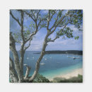 Search for anguilla magnets Landscape