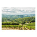 Search for tuscany vineyards posters Wine