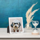 Search for contemporary plaques Photo collage