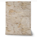 Search for cracked Rustic