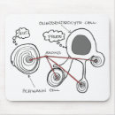Search for cell biology mouse mats Brain