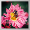 Search for two bees posters Flower