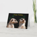 Search for namibia cards Wildlife