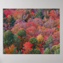 Search for algonquin posters Canada