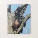 Search for orangutan puzzles Funny