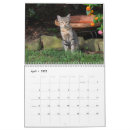 Search for kitty calendars Cat