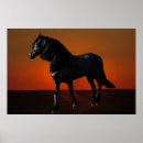 Search for romp Horse