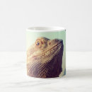 Search for bearded dragon mugs Dragons