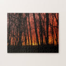 Search for forest puzzles Scenery