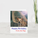 Search for funny border cards Collie