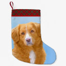 Search for duck christmas stockings Dog