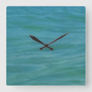 Search for aquamarine clocks Blue