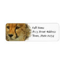 Search for cheetah return address labels Wildlife