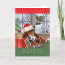 Search for teddy bear cards Cat