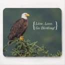 Search for bald eagle mouse mats Bird