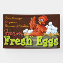 Search for eggs for sale signs Free range
