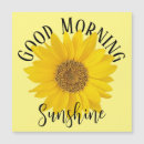 Search for morning Script