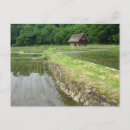 Search for thatched roof postcards Countryside