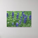 Search for adam canvas prints Colourful