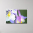 Search for light purple canvas prints Flower