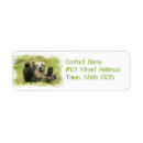 Search for cubs return address labels Baby bear