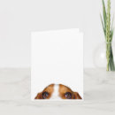 Search for loveable cards Funny