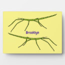 Search for insect plaques Cartoon