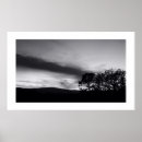 Search for black white sunset posters Trees
