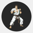 Search for vintage japanese art stickers Martial arts