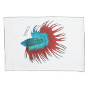 Search for betta Betta splendens