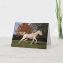 Search for arabs cards Autumn