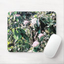 Search for fruit mouse mats Mango