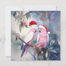 Search for cockatoo christmas cards Australian