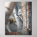 Search for behind posters Grey