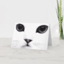 Search for cats meow birthday cards Pets